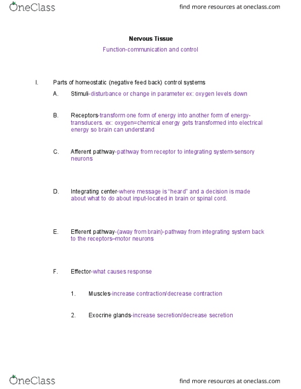 NURS 220 Lecture Notes - Lecture 12: Central Nervous System, Resting Potential, Axon Hillock thumbnail