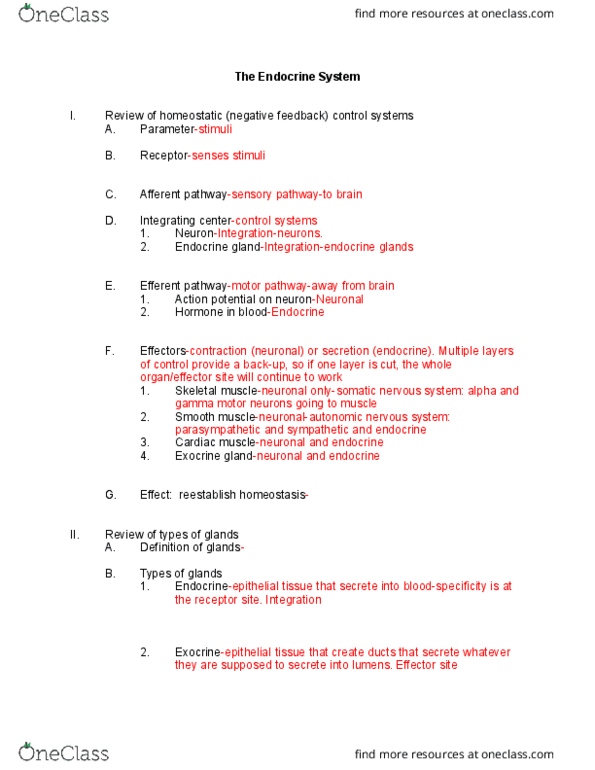 NURS 220 Lecture Notes - Lecture 18: Autonomic Nervous System, Skeletal Muscle, Anterior Pituitary thumbnail