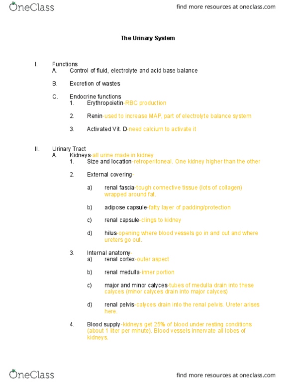 NURS 220 Lecture Notes - Lecture 27: Renal Function, Distal Convoluted Tubule, Proximal Tubule thumbnail