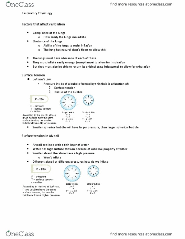 BIOL 2P97 Lecture Notes - Lecture 20: Breathing, Central Nervous System Depression, Surface Tension thumbnail