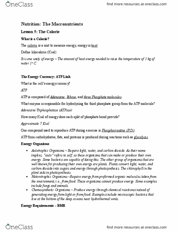 FOS 2001 Chapter Notes - Chapter 2: Basal Metabolic Rate, Indirect Calorimetry, Nutrient thumbnail