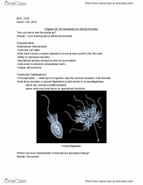BIOL 1F90 Lecture Notes - Lecture 27: Deuterostome, Protostome, Gastrulation thumbnail