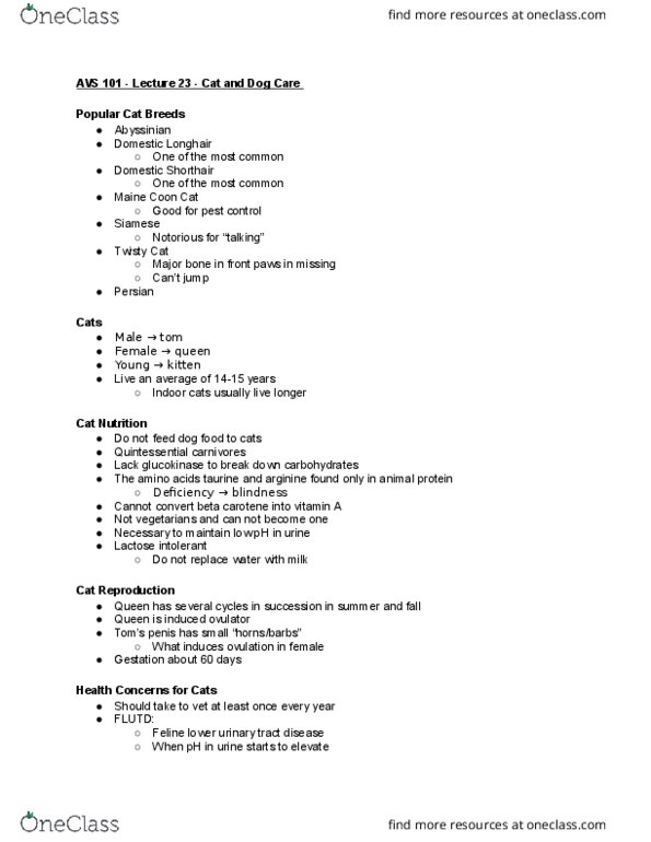 AVS 101 Lecture Notes - Lecture 23: Feline Viral Rhinotracheitis, Feline Leukemia Virus, Maine Coon thumbnail