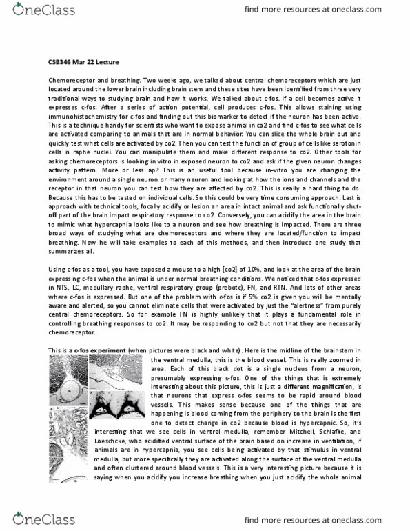 CSB346H1 Lecture Notes - Lecture 5: Raphe Nuclei, Ventral Respiratory Group, Central Chemoreceptors thumbnail