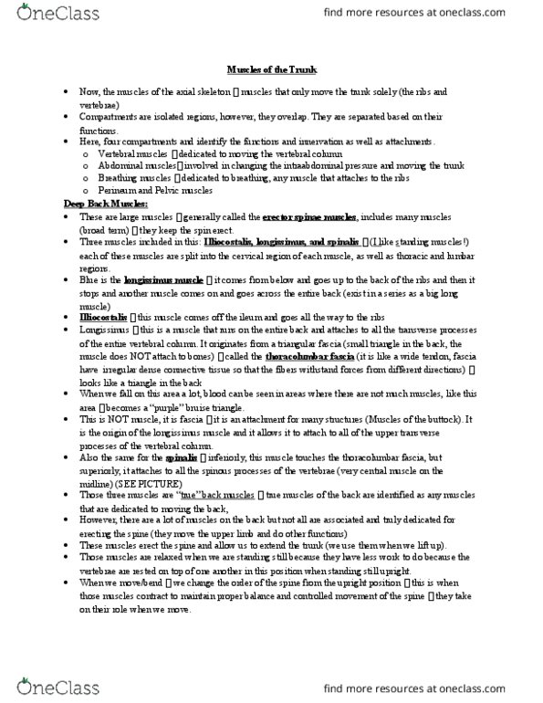 Health Sciences 2300A/B Lecture Notes - Lecture 21: Transverse Abdominal Muscle, Rectus Abdominis Muscle, Anterior Ramus Of Spinal Nerve thumbnail