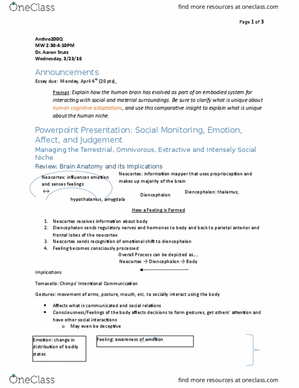 NBB 201 Lecture Notes - Lecture 15: Rhesus Macaque, Thalamus, Proprioception thumbnail