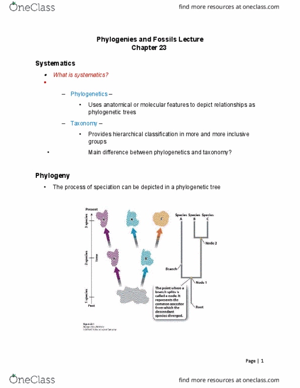 BIOL 1020U Lecture Notes - Lecture 5: Last Universal Common Ancestor, Phylogenetics, Binomial Nomenclature thumbnail