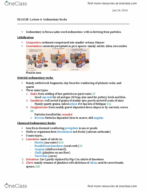 Earth Sciences 1022A/B Lecture Notes - Lecture 5: Gypsum, Potash, Graded Bedding thumbnail