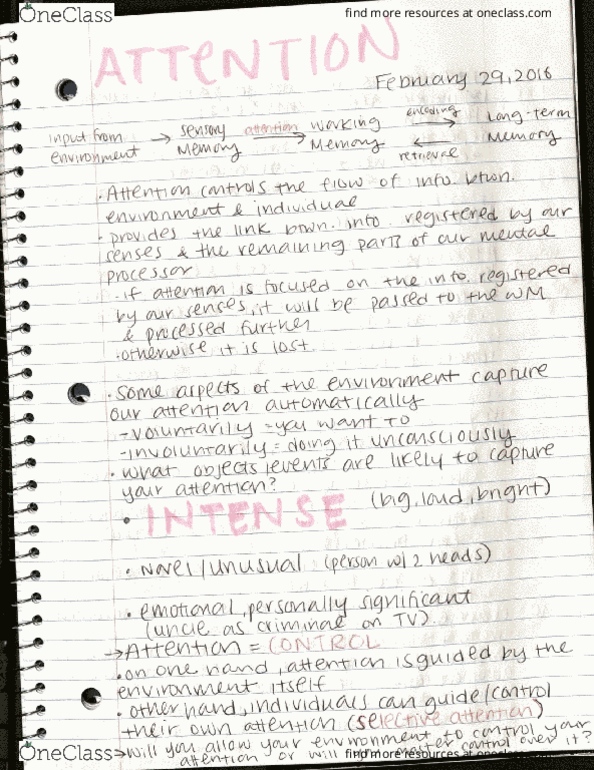 APSY2032 Lecture Notes - Lecture 8: Adderall thumbnail