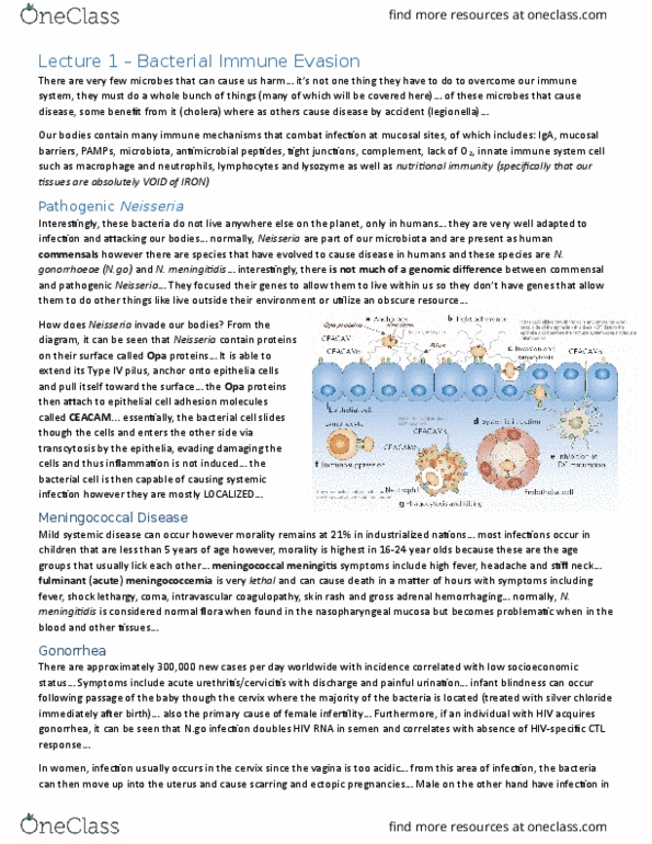 CSB202H1 Lecture Notes - Lecture 1: Opsonin, Immunoglobulin M, Female Infertility thumbnail