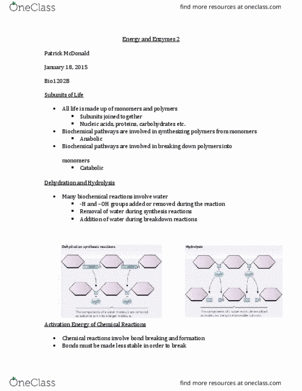 Biology 1202B Lecture Notes - Lecture 1: Antibiotics, Melanin, Protein Structure thumbnail