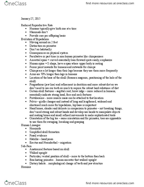 BIO 1130 Lecture Notes - Lecture 4: Pelvis, Foramen Magnum, Sagittal Crest thumbnail