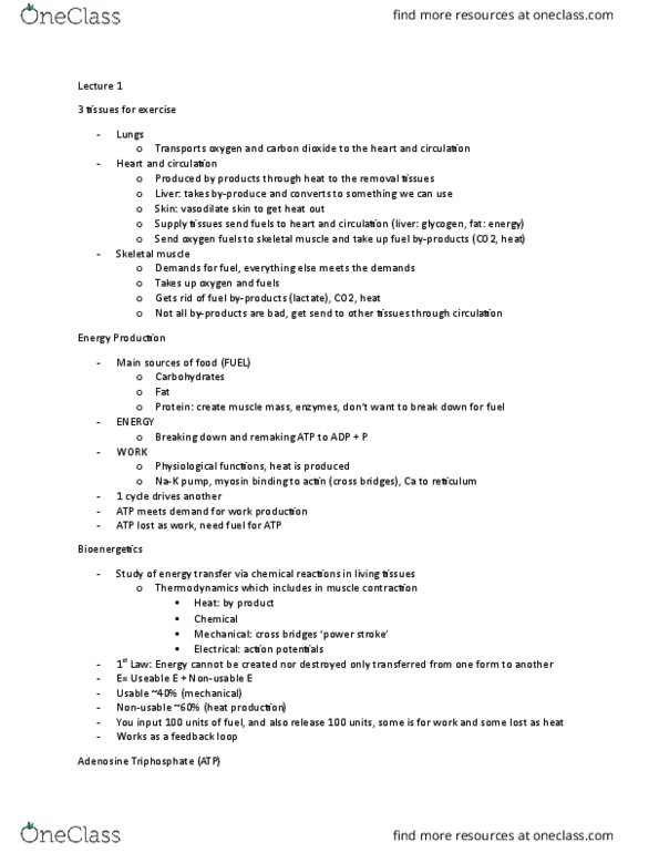 KINESIOL 2CC3 Lecture Notes - Lecture 1: Adenine, Ribose, Pyrophosphate thumbnail