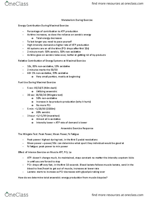 KINESIOL 2CC3 Lecture Notes - Lecture 10: Carnitine, Pyruvic Acid, Adrenal Medulla thumbnail