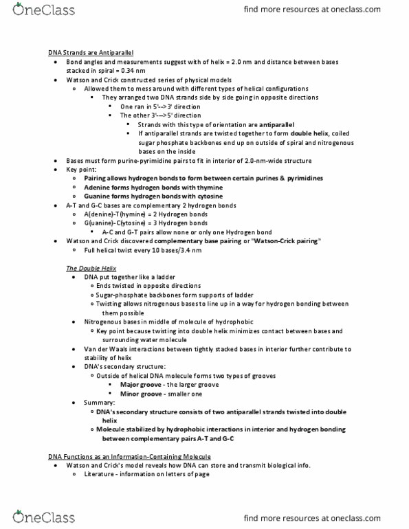 BIOL 180 Chapter Notes - Chapter 4: Phosphodiester Bond, The Double Helix, Hydrogen Bond thumbnail