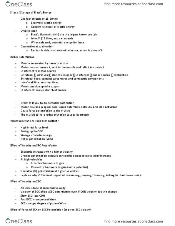 KINESIOL 2C03 Lecture Notes - Lecture 2: Electromyography, Reuptake, Creatine Kinase thumbnail