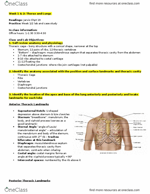 NSE 13A/B Lecture Notes - Lecture 1: Subcutaneous Emphysema, Stethoscope, Lobar Pneumonia thumbnail
