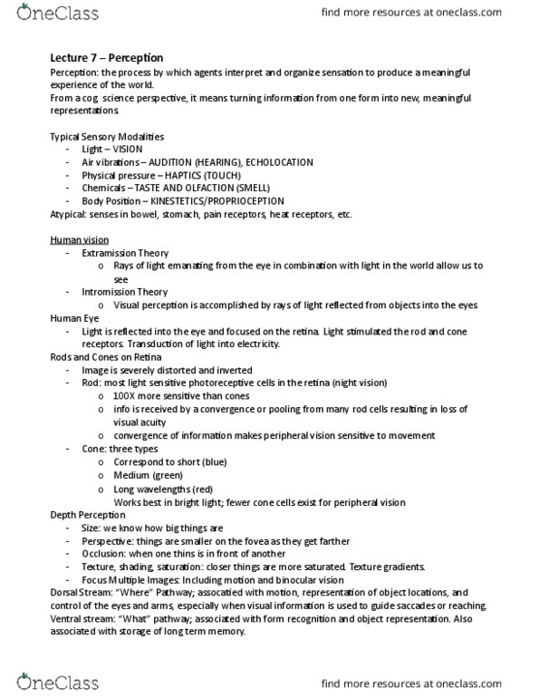 CGSC 1001 Lecture Notes - Lecture 7: Photoreceptor Cell, Peripheral Vision, Visual Acuity thumbnail