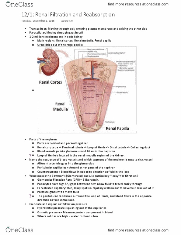 document preview image