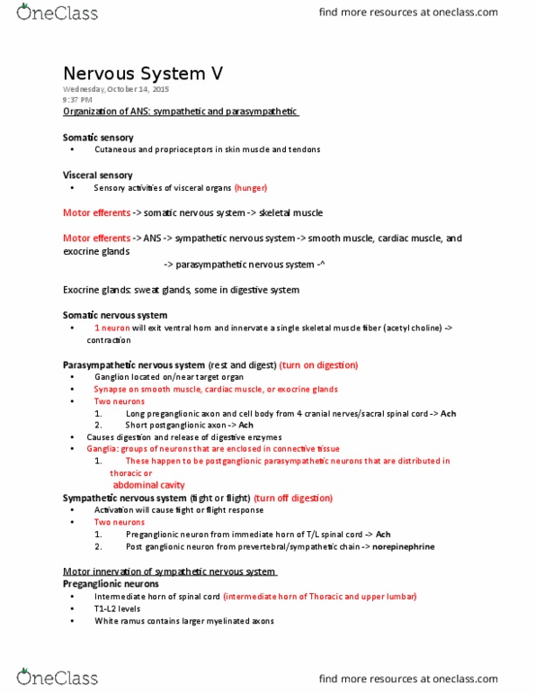 PHYSCI 107 Lecture Notes - Lecture 5: Trapezius Muscle, Sclera, Brainstem thumbnail