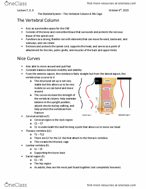 Kinesiology 2222A/B Lecture Notes - Lecture 7: Cervical Vertebrae, Thoracic Vertebrae, Intervertebral Disc thumbnail