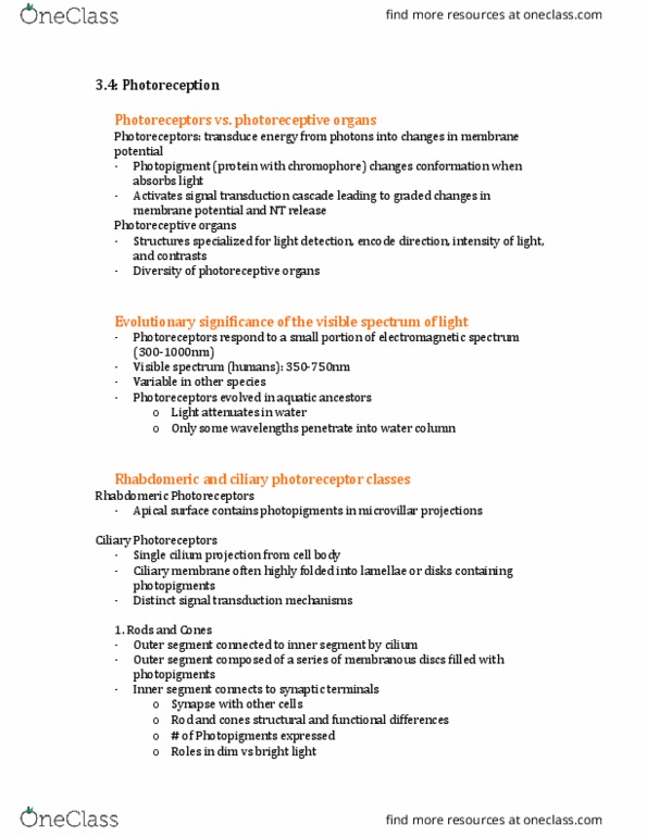 BCH 3120 Lecture Notes - Lecture 12: Chromophore, Signal Transduction, Retinal Pigment Epithelium thumbnail