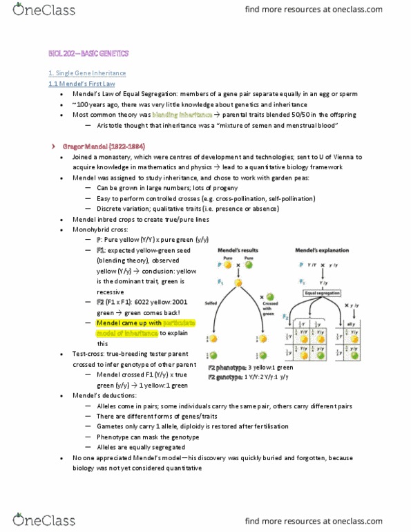 BIOL 202 Lecture Notes - Lecture 15: Sister Chromatids, Mendelian Inheritance, Allele Frequency thumbnail