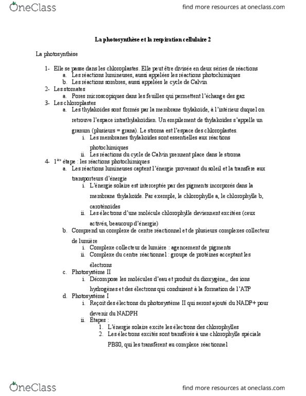 NATS 1540 Lecture Notes - Lecture 8: Chlorophylle, Atp Synthase, En Passant thumbnail