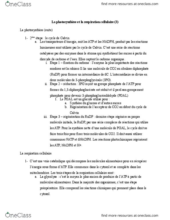 NATS 1540 Lecture Notes - Lecture 8: 3-Phosphoglyceric Acid, Ribulose, Rubisco thumbnail