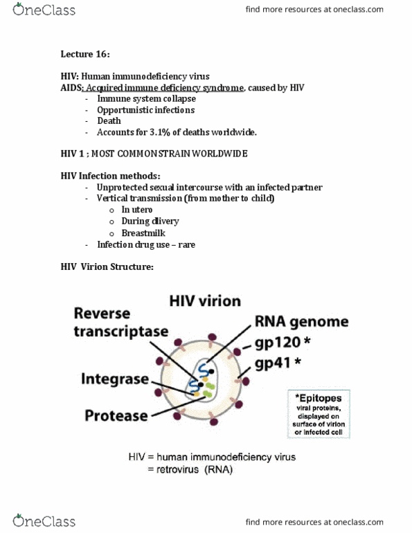 BIOB51H3 Lecture Notes - Lecture 16: Vertically Transmitted Infection, In Utero, Aids thumbnail