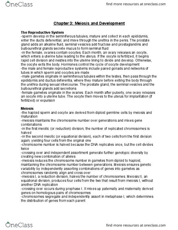 MBG 1000 Chapter Notes - Chapter 3: Oocyte, Seminiferous Tubule, Seminal Vesicle thumbnail