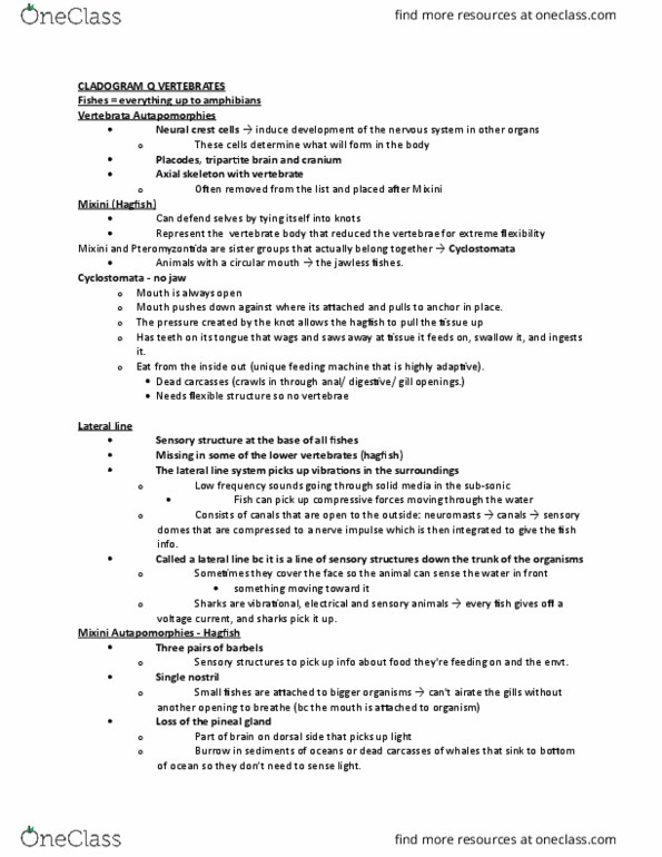 BIO 2135 Lecture Notes - Lecture 16: Shark Fin Soup, Shark Finning, Cyclostomata thumbnail