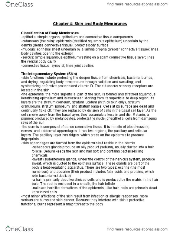 BIOM 2000 Chapter Notes - Chapter 4: Stratified Squamous Epithelium, Simple Squamous Epithelium, Stratum Granulosum thumbnail