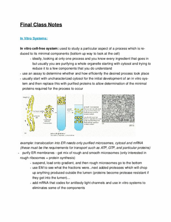 ANAT 262 Lecture Notes - Column Chromatography, Cytosol, Electrophoresis thumbnail