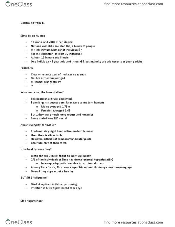ARCH 131 Lecture Notes - Lecture 12: Atapuerca Mountains, Temporomandibular Joint, Postcrania thumbnail