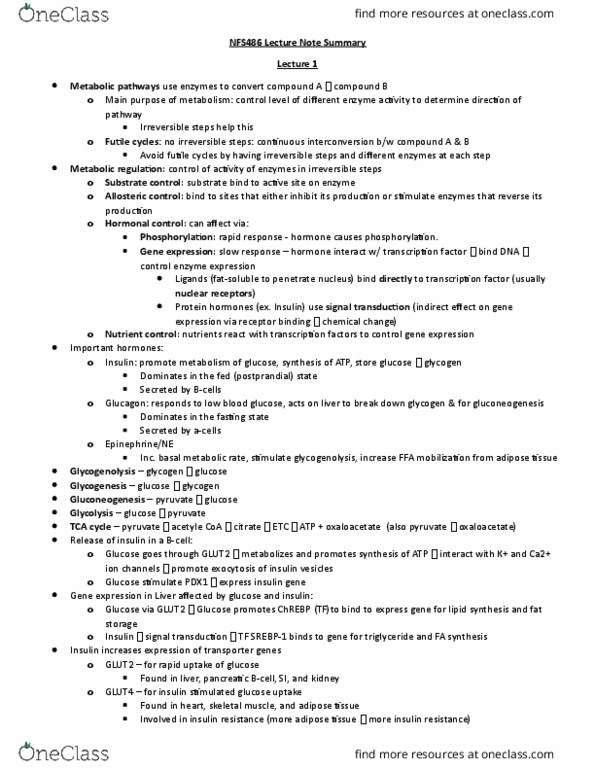 NFS486H1 Lecture Notes - Lecture 1: Malonyl-Coa, Acetyl-Coa, Pyruvate Dehydrogenase thumbnail