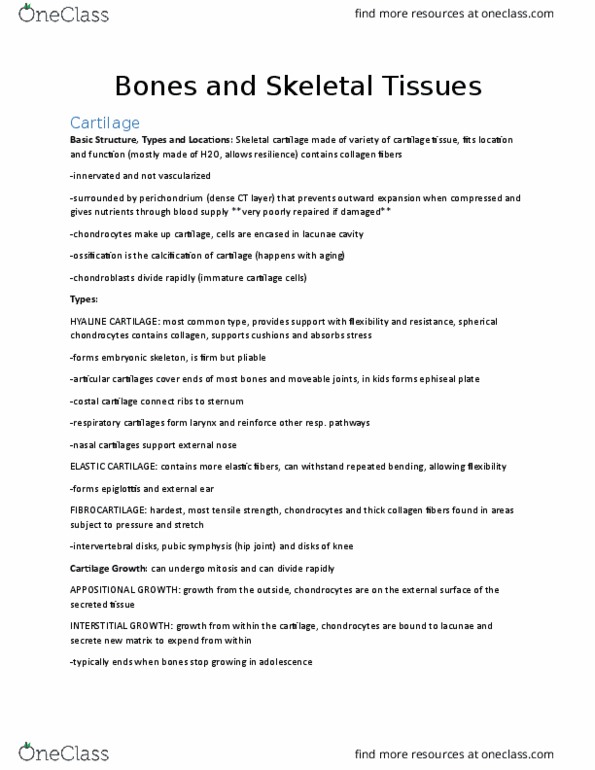 ANP 1106 Lecture Notes - Lecture 6: Chondroblast, Bone Density, Long Bone thumbnail