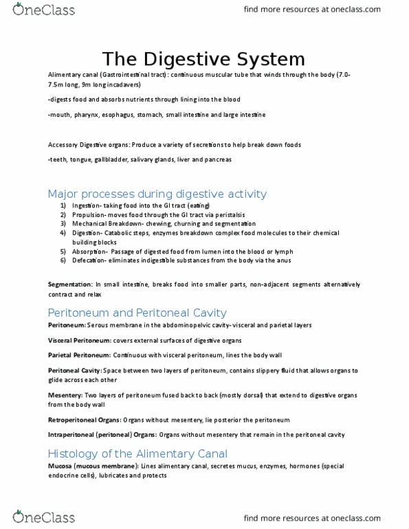 ANP 1107 Lecture Notes - Lecture 4: Antihistamine, Falciform Ligament, Anal Sinuses thumbnail