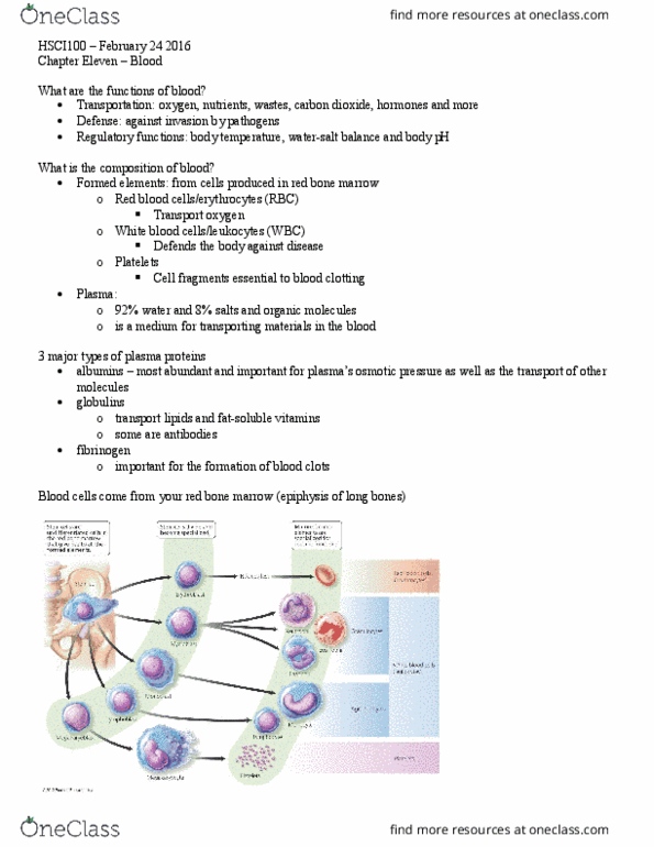 HSCI 100 Lecture Notes - Lecture 1: Eosin, Infectious Mononucleosis, Polysaccharide thumbnail