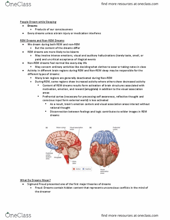 PSYCH 101 Chapter Notes - Chapter 3.2: Robert Mccarley, Circadian Rhythm, Prefrontal Cortex thumbnail