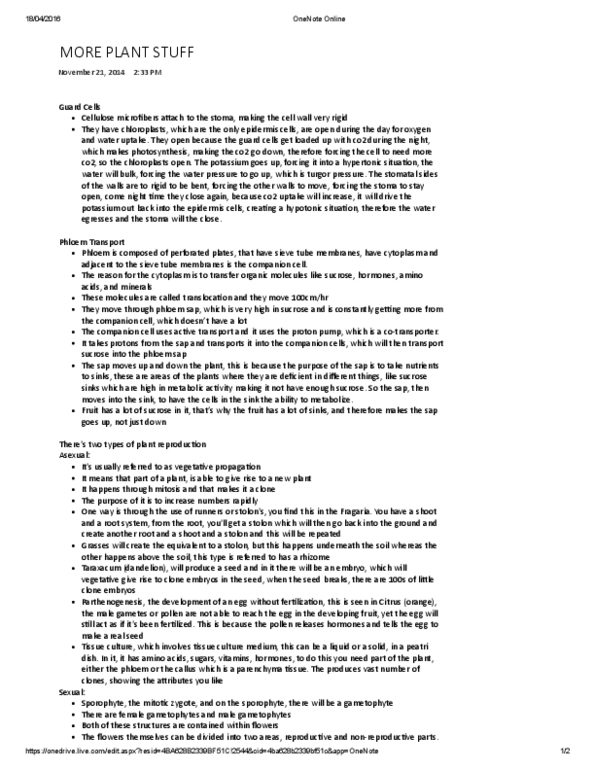 AEBI 120 Lecture Notes - Lecture 17: Zygote, Gametophyte, Sporophyte thumbnail