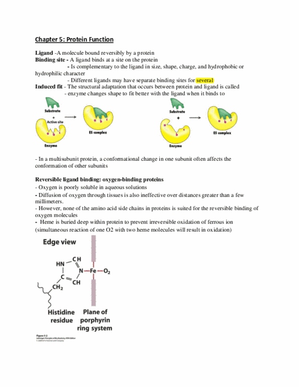 CH250 Lecture Notes - Lecture 10: Antigen, Polyclonal Antibodies, Thymus thumbnail