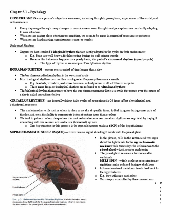 PSYA01H3 Chapter Notes - Chapter 5.1: Diazepam, Sleep Sex, Computer Mouse thumbnail