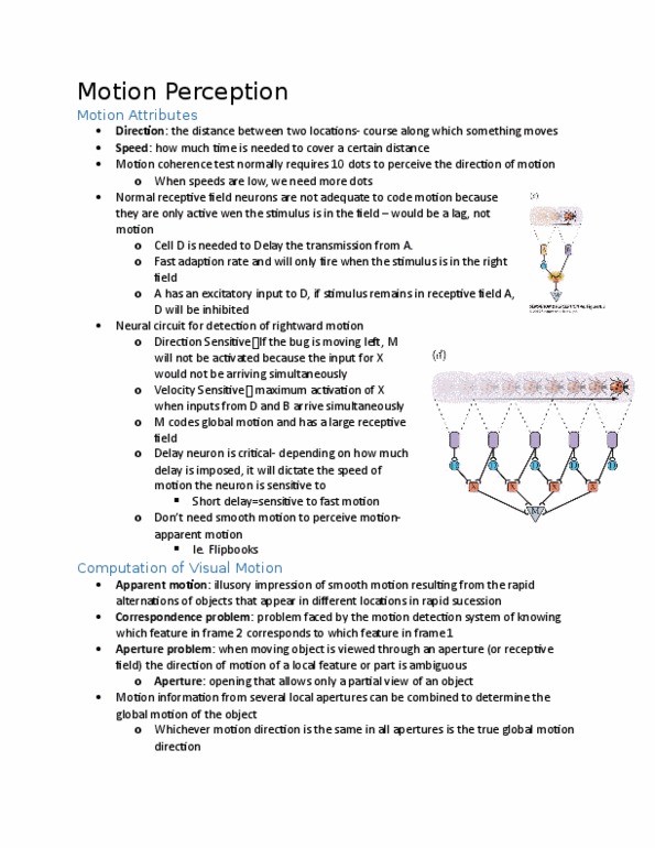 KIN356 Lecture Notes - Lecture 10: Attentional Blink, Upper Limb, Baddeley'S Model Of Working Memory thumbnail