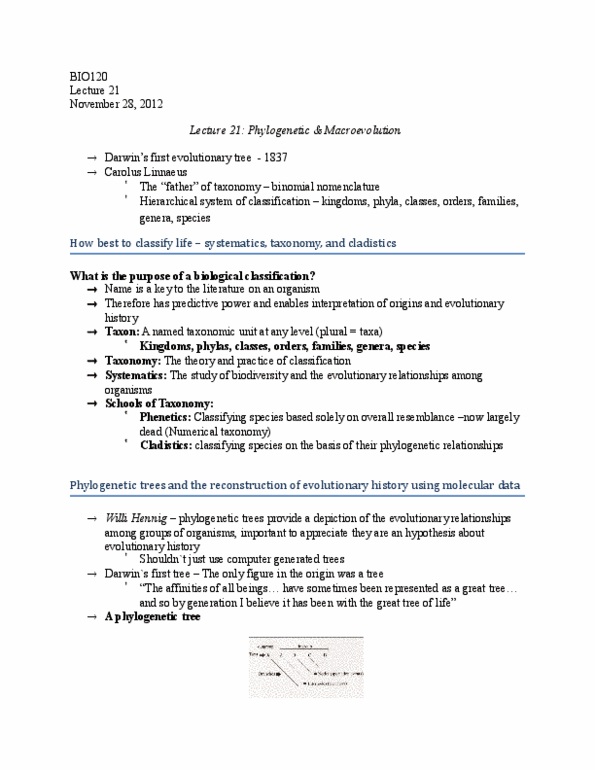 BIO120H1 Lecture Notes - Lecture 21: Adaptive Radiation, Scott Hodges, African Great Lakes thumbnail