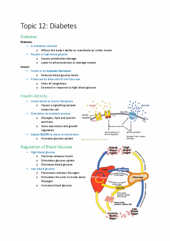 KINESIOL 1C03 Lecture Notes - Lecture 12: Metformin, Kidney Disease, Gluconeogenesis thumbnail