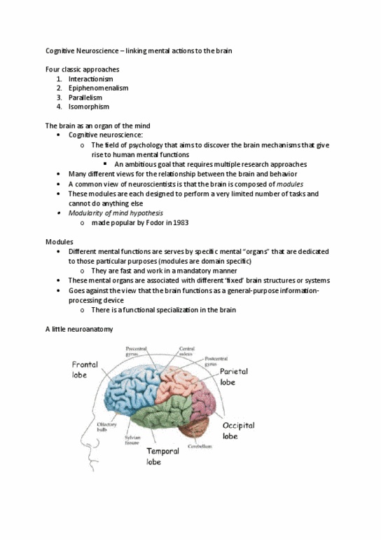 PSYC 213 Lecture Notes - Lecture 3: Transcranial Magnetic Stimulation, Electroencephalography, Roger Wolcott Sperry thumbnail