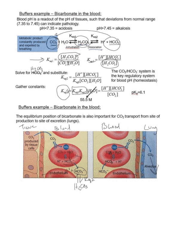 document preview image