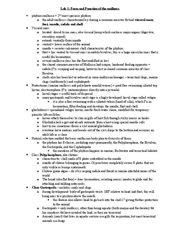 BIOL 2001 Lecture Notes - Lecture 1: Estuary, Invertebrate, Gonad thumbnail