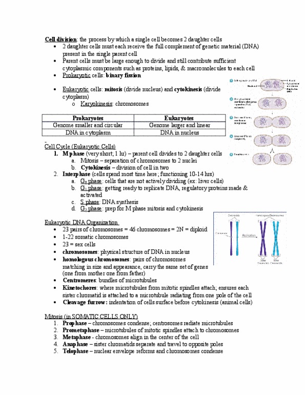 BISC207 Lecture Notes - Lecture 43: Cystic Fibrosis, Germ Cell, Silent Mutation thumbnail